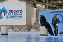 Дельфинарий «Selwo Marina»